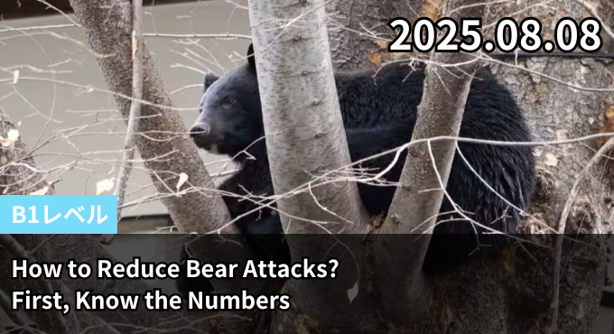 How to Reduce Bear Attacks? First, Know the Numbers