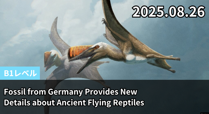 Fossil from Germany Provides New Details about Ancient Flying Reptiles