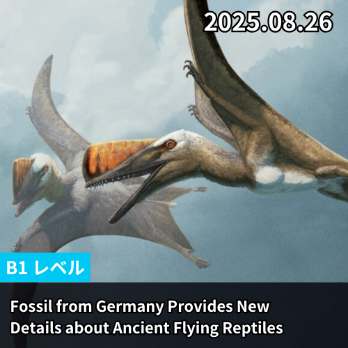 Fossil from Germany Provides New Details about Ancient Flying Reptiles