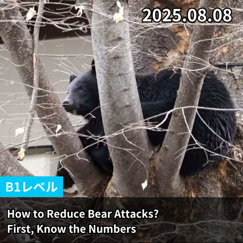 How to Reduce Bear Attacks? First, Know the Numbers