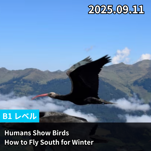 Humans Show Birds How to Fly South for Winter