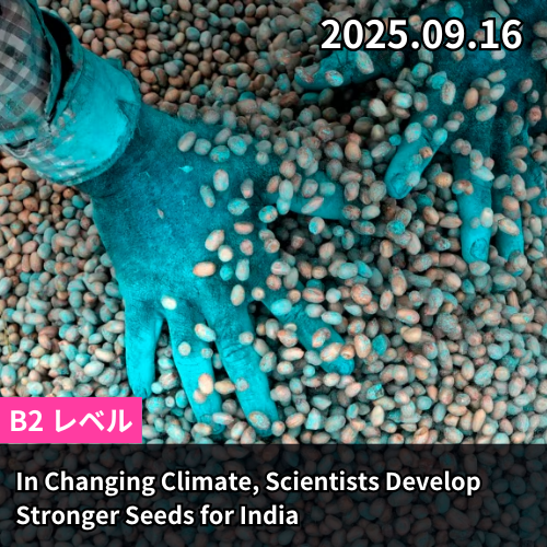 In Changing Climate, Scientists Develop Stronger Seeds for India