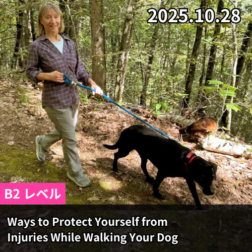 Ways to Protect Yourself from Injuries While Walking Your Dog