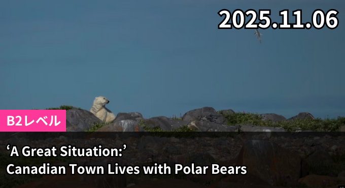 ‘A Great Situation:’ Canadian Town Lives with Polar Bears