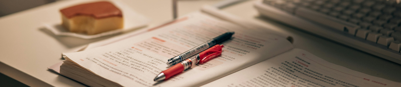 学会発表の準備をする研究者