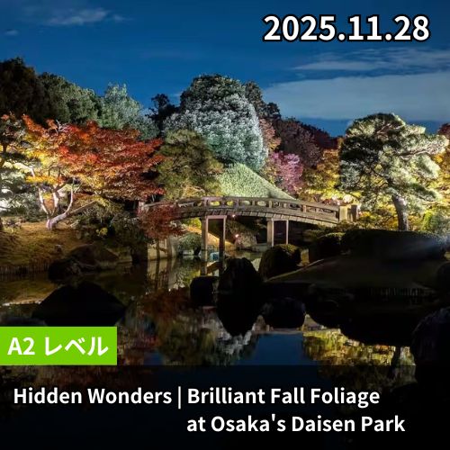 Hidden Wonders | Brilliant Fall Foliage at Osaka's Daisen Park