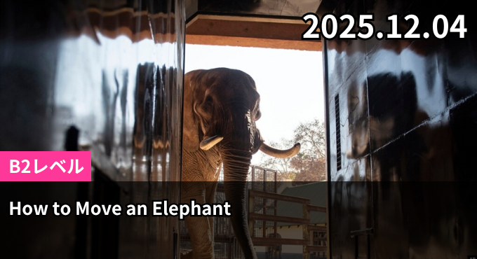 How to Move an Elephant