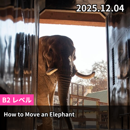 How to Move an Elephant