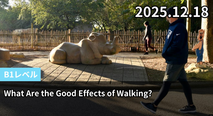 What Are the Good Effects of Walking?