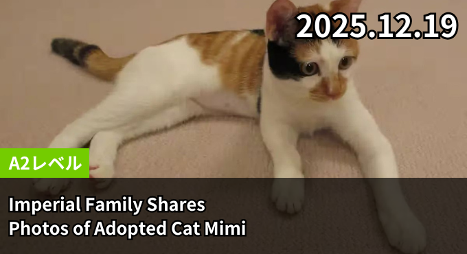 Imperial Family Shares Photos of Adopted Cat Mimi
