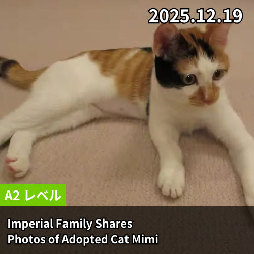 Imperial Family Shares Photos of Adopted Cat Mimi