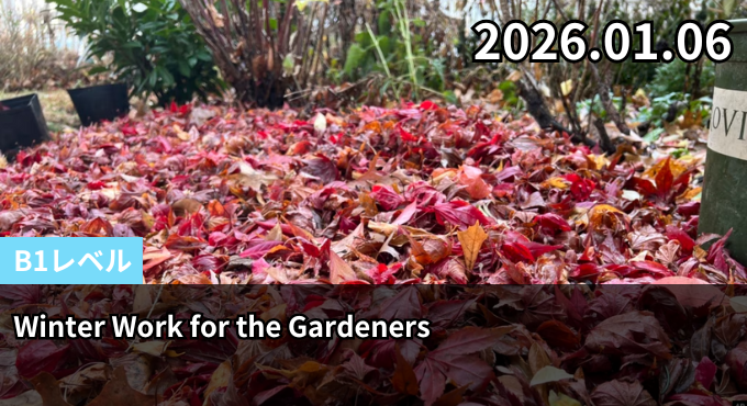 Winter Work for the Gardeners