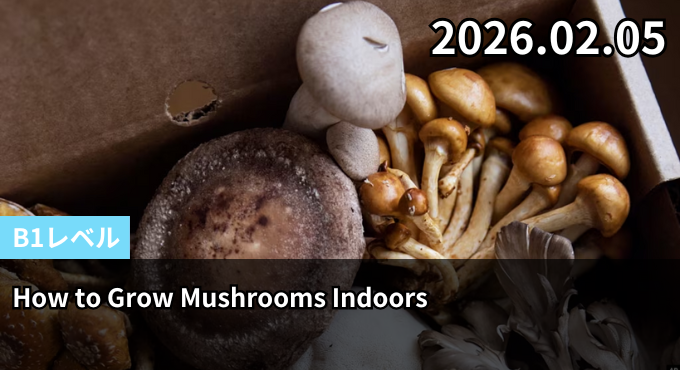 How to Grow Mushrooms Indoors