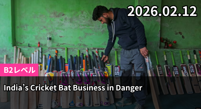 India’s Cricket Bat Business in Danger