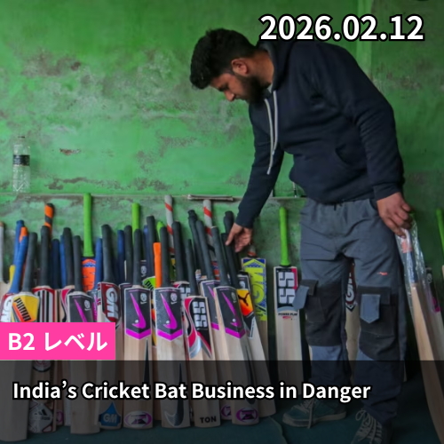 India’s Cricket Bat Business in Danger