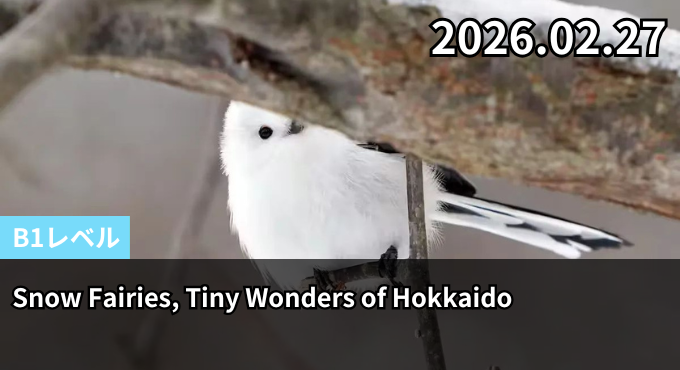 Snow Fairies, Tiny Wonders of Hokkaido