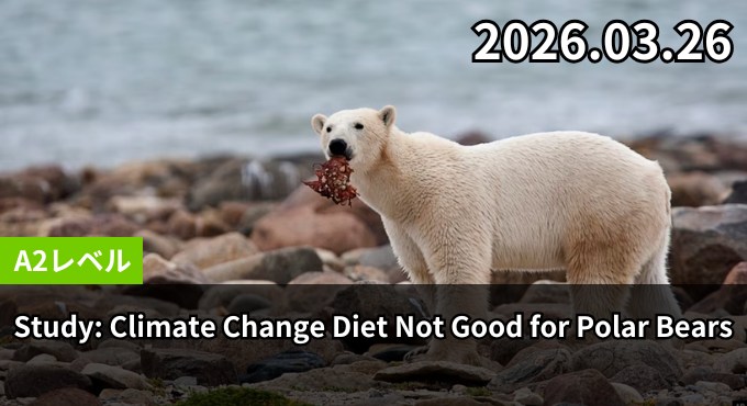 Study: Climate Change Diet Not Good for Polar Bears