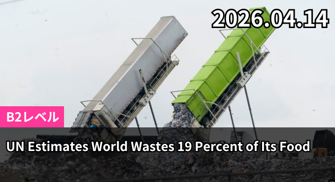 UN Estimates World Wastes 19 Percent of Its Food