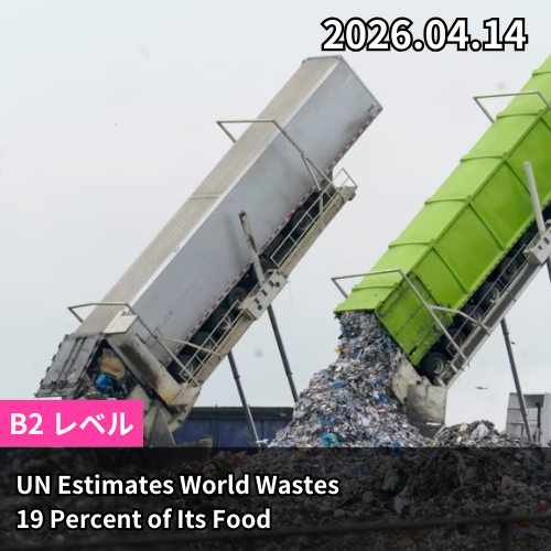 UN Estimates World Wastes 19 Percent of Its Food
