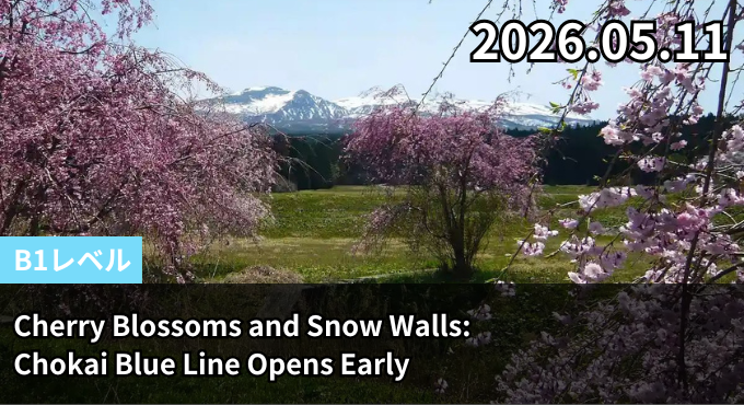 Cherry Blossoms and Snow Walls: Chokai Blue Line Opens Early