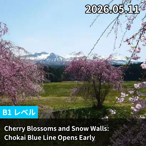 Cherry Blossoms and Snow Walls: Chokai Blue Line Opens Early