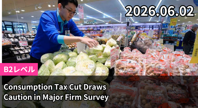 Consumption Tax Cut Draws Caution in Major Firm Survey