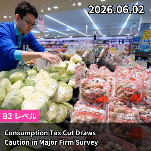 Consumption Tax Cut Draws Caution in Major Firm Survey