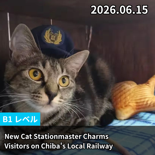 New Cat Stationmaster Charms Visitors on Chiba's Local Railway