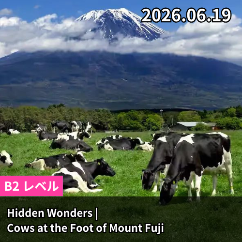 Hidden Wonders | Cows at the Foot of Mount Fuji
