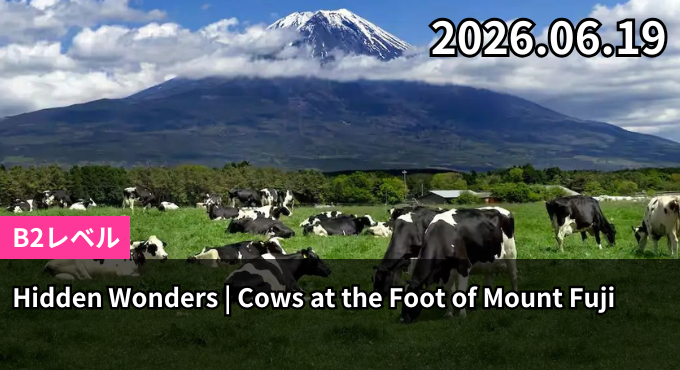 Hidden Wonders | Cows at the Foot of Mount Fuji