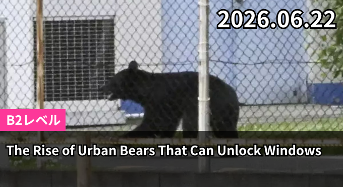 The Rise of Urban Bears That Can Unlock Windows