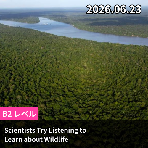 Scientists Try Listening to Learn about Wildlife