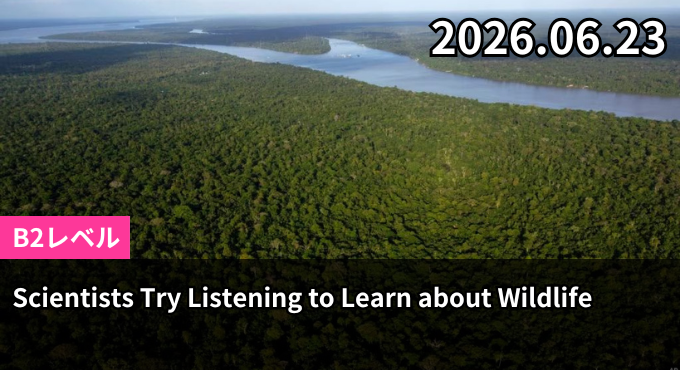 Scientists Try Listening to Learn about Wildlife