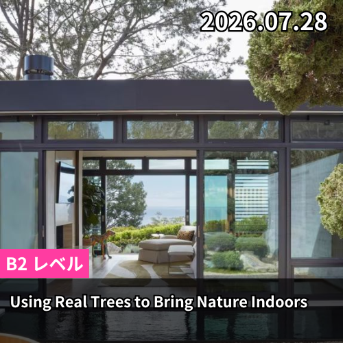 Using Real Trees to Bring Nature Indoors