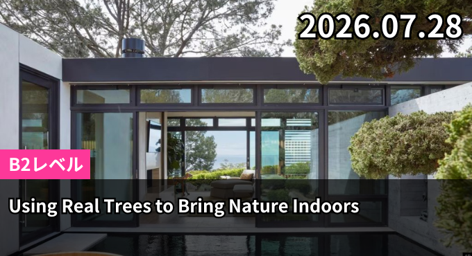 Using Real Trees to Bring Nature Indoors