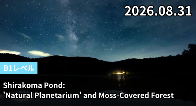 Shirakoma Pond: 'Natural Planetarium' and Moss-Covered Forest