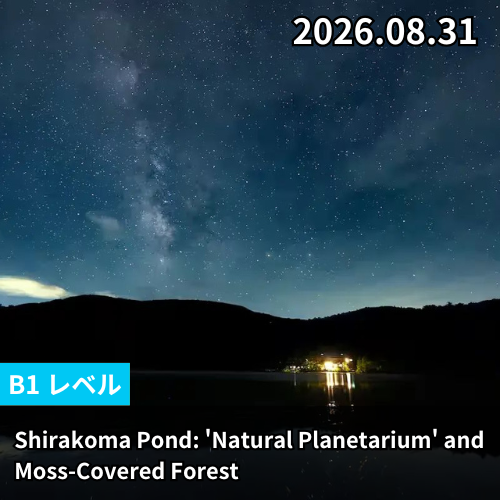 Shirakoma Pond: 'Natural Planetarium' and Moss-Covered Forest