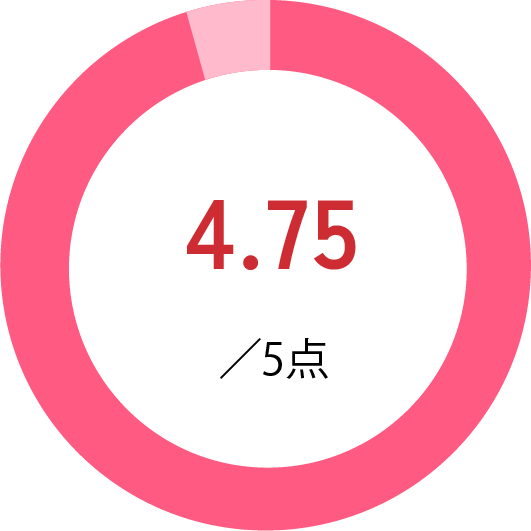 4.75/5点